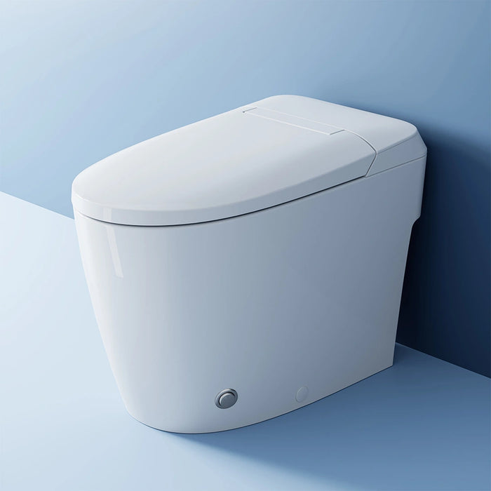 HOROW T30 bidet toilet