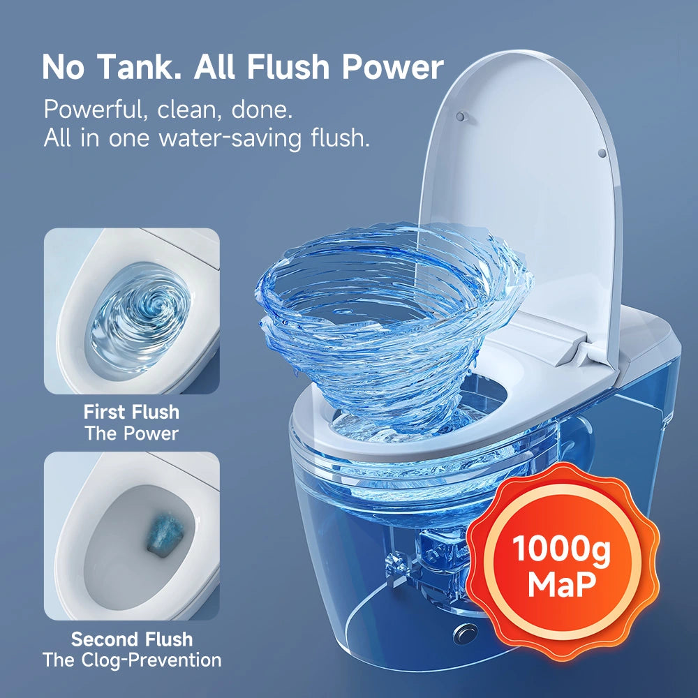 Bidet Toilet with Non electric Seat for 12 Inch Rough in Model T30